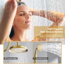 dasan-brushed-gold-rain-shower-system-co-3.jpg