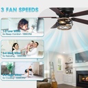 ceiling-fans-with-lights-low-profile-48--6.jpg