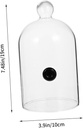 1pc-glass-food-cover-cake-platter-cover--2.jpg