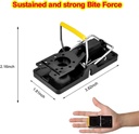 mouse-traps-mouse-traps-indoor-for-home--2.jpg