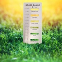 grass-gauge-gardening-weeding-ultimate-l-4.jpg