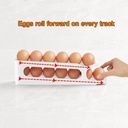 egg-holder-for-fridge-2-tiers-auto-rolli-2.jpg