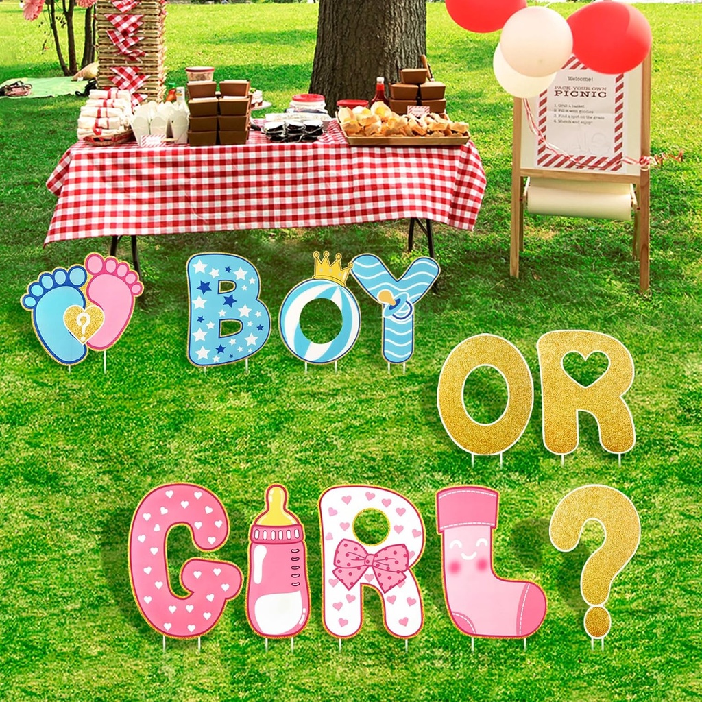 aerwo-11-pcs-gender-reveal-decorations-b-6.jpg