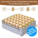 maticoopx-30-egg-incubator-with-humidity-5.jpg