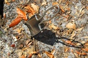 ust-u-dig-it-folding-shovel-with-6.jpg