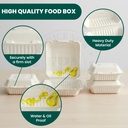 fpn-compostable-takeout-boxes-6x6-75-ct--4.jpg