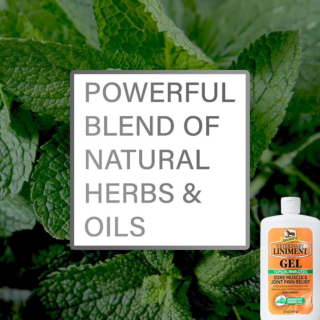 absorbine-veterinary-liniment-topical-an-4.jpg