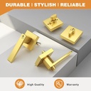 probrico-brushed-gold-exterior-door-lock-5.jpg