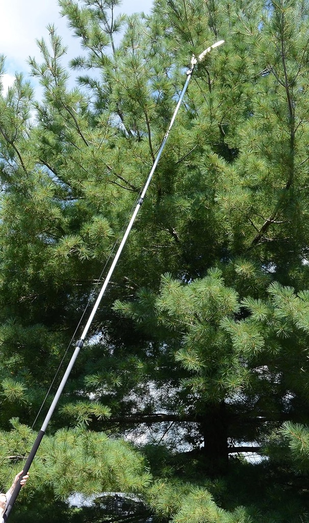 milliard-6-16-foot-extendable-pole-prune-5.jpg