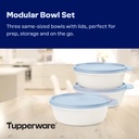 tupperware-modular-25-cup-3-bowl-food-st-2.jpg