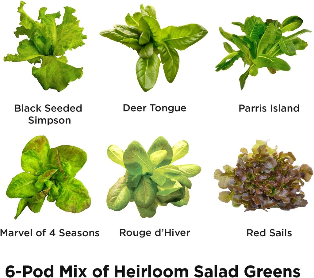 aerogarden-heirloom-salad-greens-mix-see-2.jpg