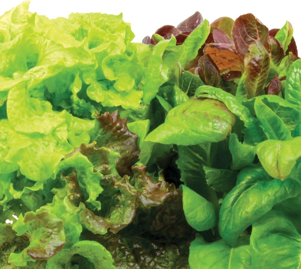aerogarden-heirloom-salad-greens-mix-see-3.jpg