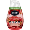 renuzit---1717587-blissful-apple-cinnamo-2.jpg