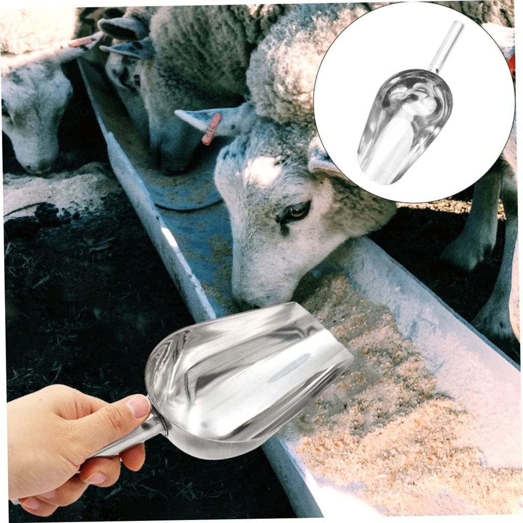 stainless-steel-pet-feeding-scoop-multi--3.jpg