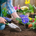garden-trowel-hand-wide-shovel-pointed-w-5.jpg