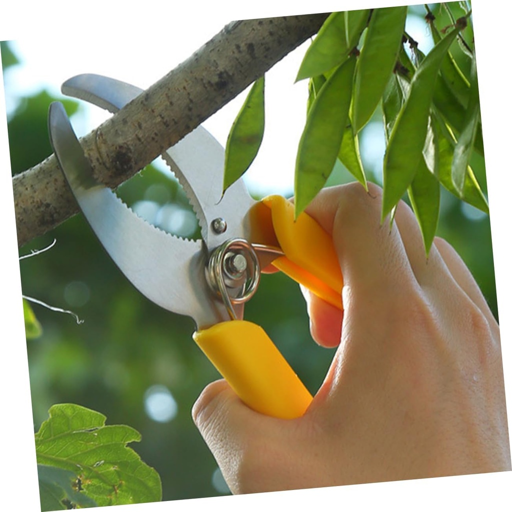 2pcs-tree-branch-clippers-fruit-tree-gir-6.jpg