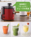 panasonic-high-speed-juicer-mj-h200-r-re-2.jpg