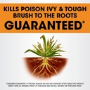 roundup-poison-ivy-plus-tough-brush-kill-6.jpg