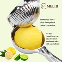 lemon-squeezer-extra-large-bowl-with-erg-2.jpg