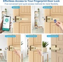 gold-fingerprint-door-lock-smart-finger--3.jpg