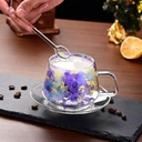 double-glass-cup-and-saucer-setdried-flo-3.jpg