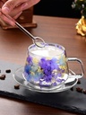 double-glass-cup-and-saucer-setdried-flo-6.jpg