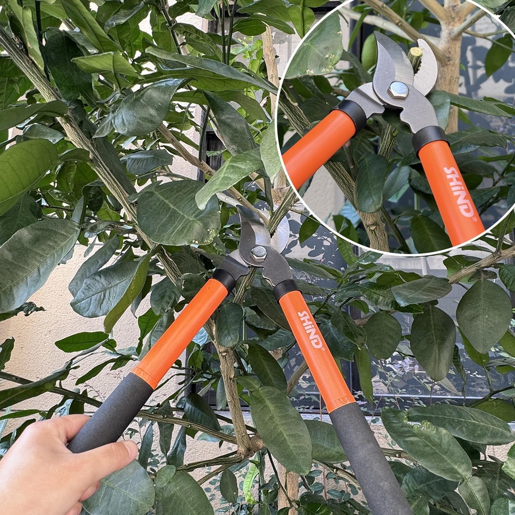 shind-lopper-heavy-duty-branch-cutter-tr-4.jpg