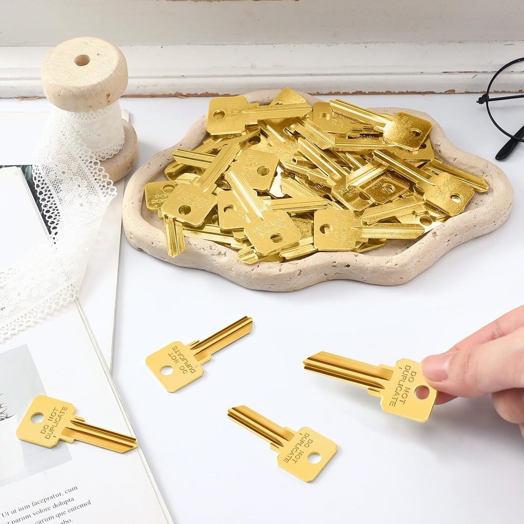 50-pcs-do-not-duplicate-key-blanks-metal-3.jpg