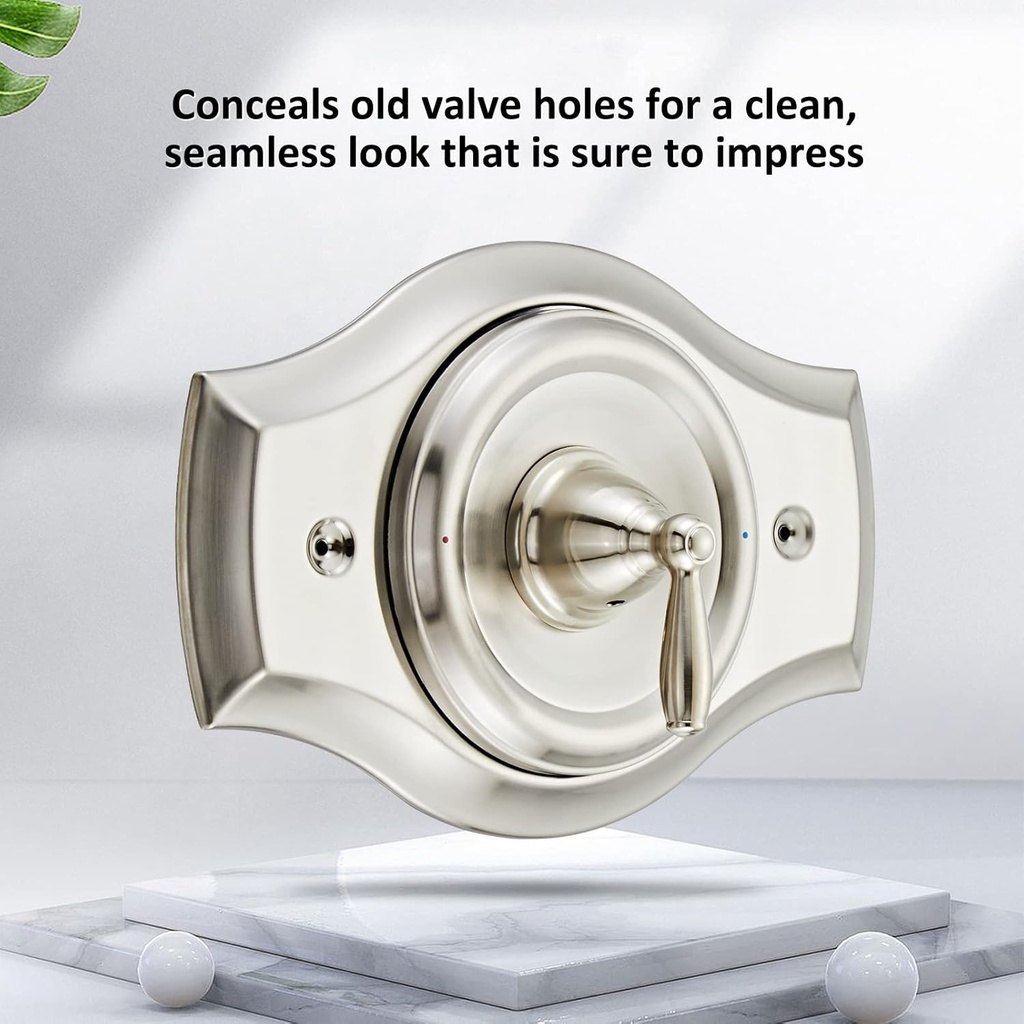 renovation-shower-cover-plate-for-2-hand-2.jpg