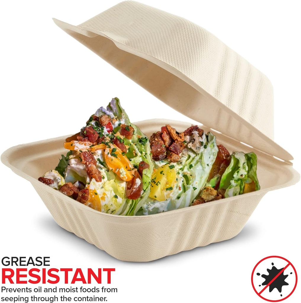 clamshell-take-out-food-containers-6-x-6-5.jpg
