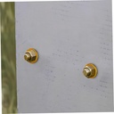 20-pcs-lantern-shaped-rivet-nuts-threade-4.jpg