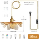 plug-in-pendant-lights-15ft-hanging-ligh-3.jpg