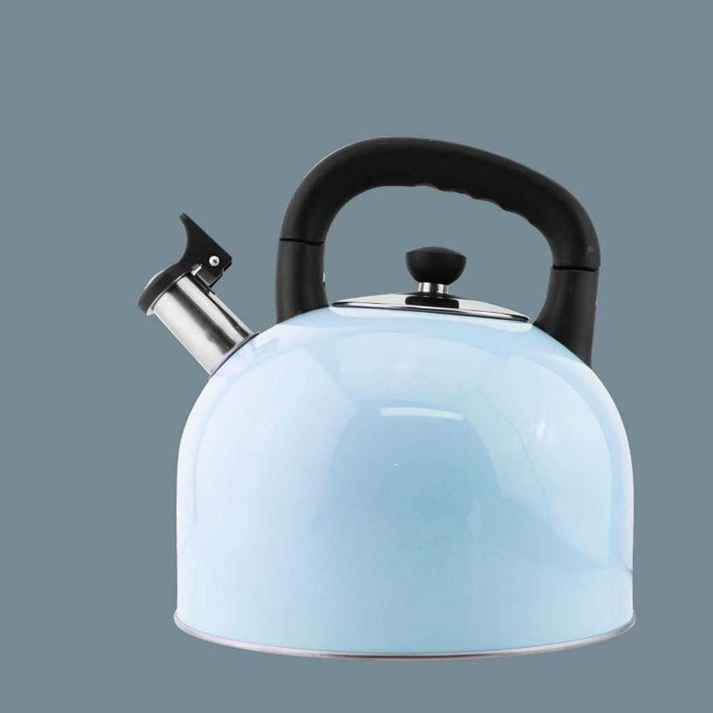 kettle-5-quarts-stainless-steel-whistlin-5.jpg