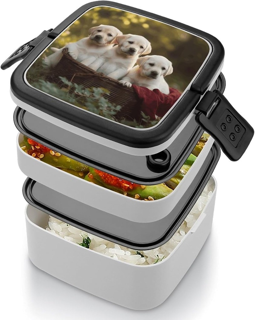 puppy-sitting-in-basket-bento-box-adult--4.jpg