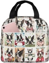 boston-terrier-lunch-box---reusable-leak-2.jpg