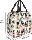 boston-terrier-lunch-box---reusable-leak-3.jpg