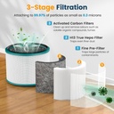 colorfullife-2-pack-replacement-filter-f-3.jpg