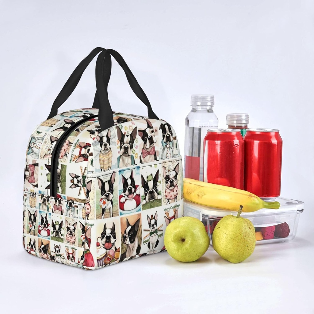 boston-terrier-lunch-box---reusable-leak-6.jpg