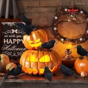 8-packs-halloween-black-crows-feathered--4.jpg