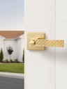 brushed-gold-keyed-entry-door-handle-wit-3.jpg