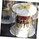 vosarea-transparent-cake-box-double-laye-5.jpg
