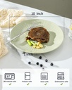 hasense-dinner-plates-10-inch-ceramic-di-4.jpg
