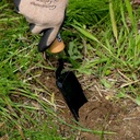 garden-helper-narrow-garden-trowel-hand--5.jpg