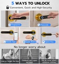 elinksmart-fingerprint-door-knob-lock-sm-2.jpg