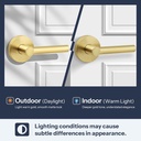 brushed-gold-no-lock-passage-door-handle-6.jpg