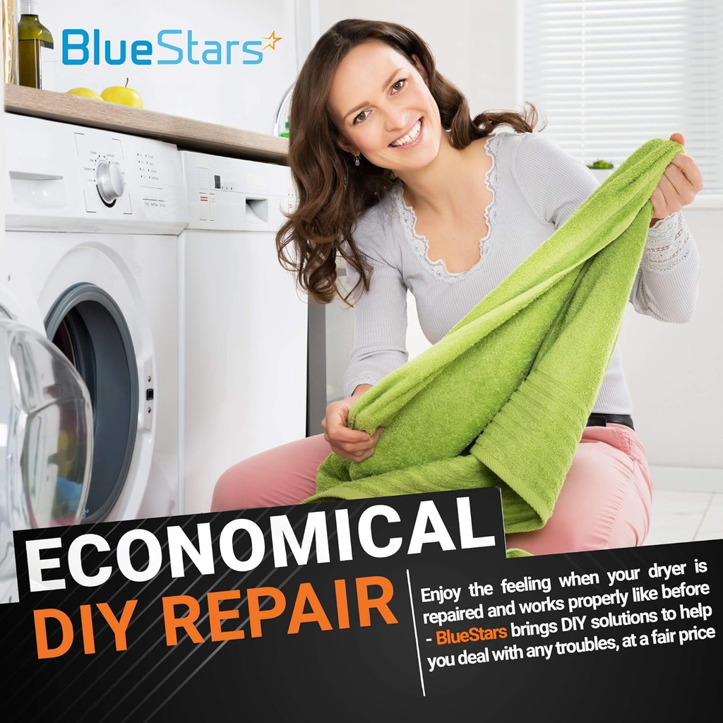 bluestars-ultra-durable-8536974-dryer-dr-6.jpg