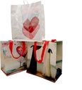 earthwise-reusable-bag-shopping---totes--5.jpg