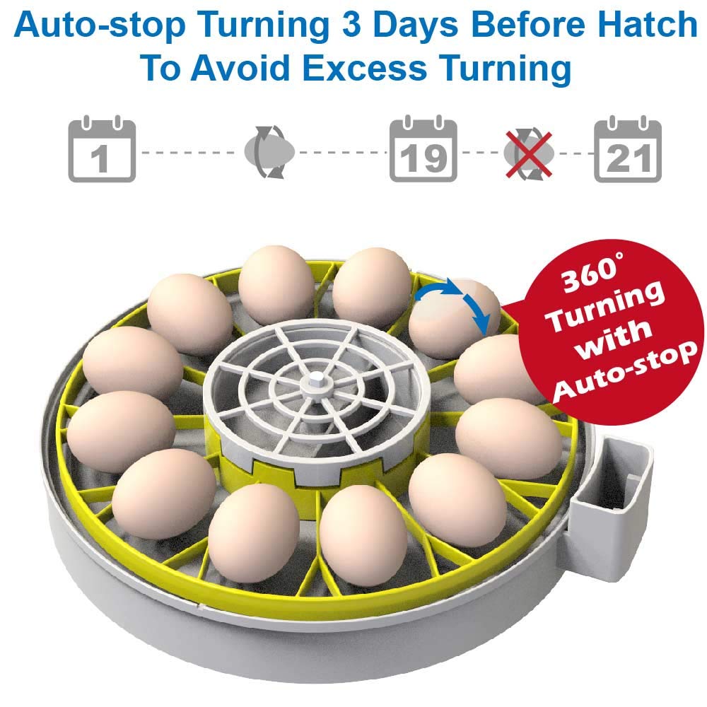 12-egg-incubator-with-humidity-display-e-6.jpg