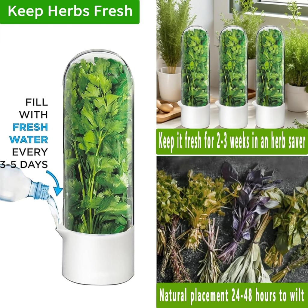 herb-saver-for-refrigerator-herb-storage-3.jpg