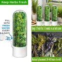 herb-saver-for-refrigerator-herb-storage-3.jpg